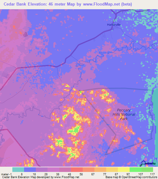 Cedar Bank,Belize Elevation Map