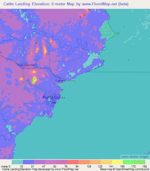 Cattle Landing,Belize Elevation Map