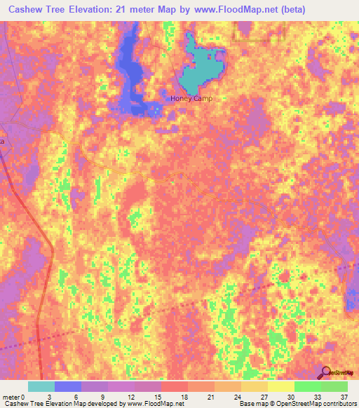 Cashew Tree,Belize Elevation Map