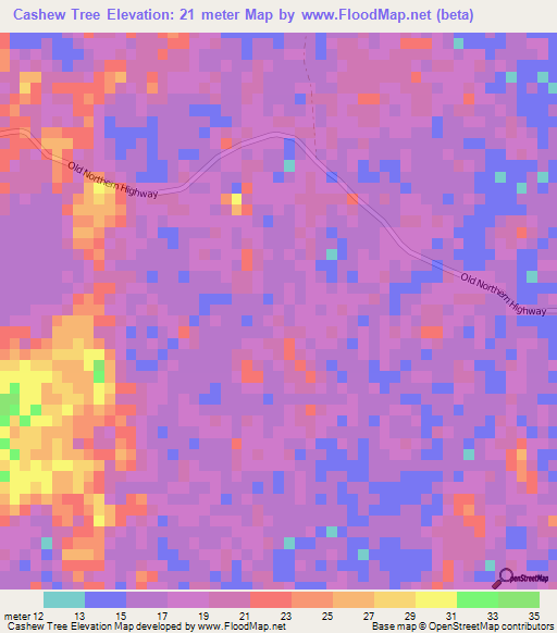 Cashew Tree,Belize Elevation Map