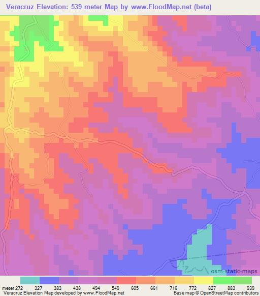 Veracruz,El Salvador Elevation Map