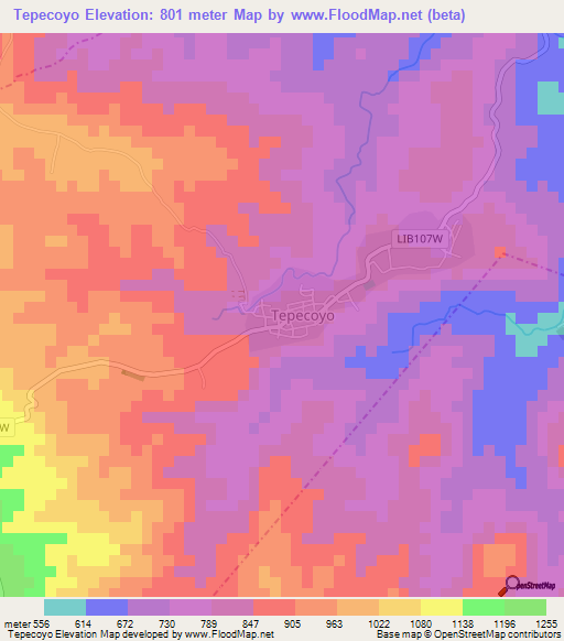 Tepecoyo,El Salvador Elevation Map
