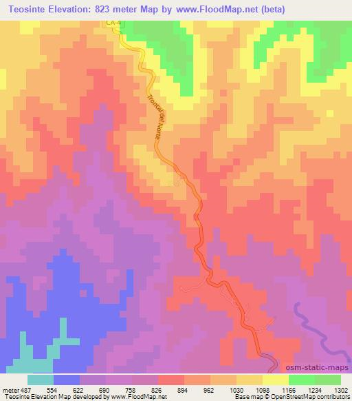 Teosinte,El Salvador Elevation Map