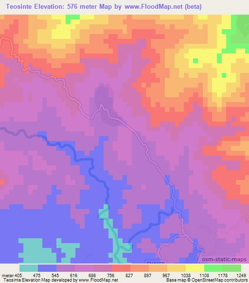 Teosinte,El Salvador Elevation Map