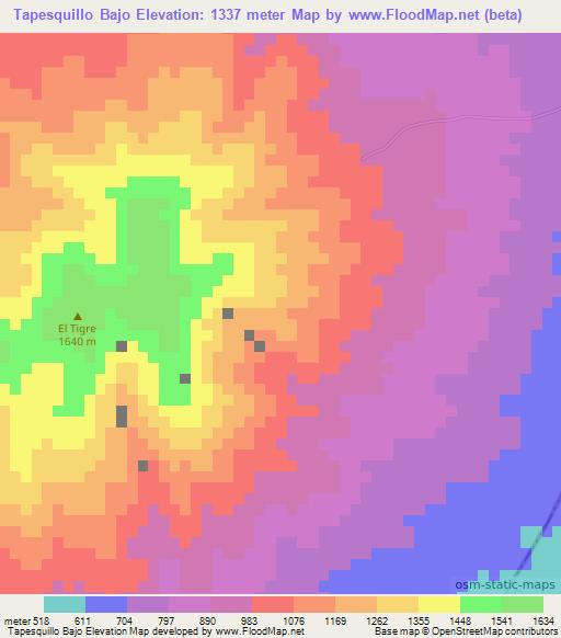 Tapesquillo Bajo,El Salvador Elevation Map