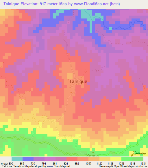 Talnique,El Salvador Elevation Map