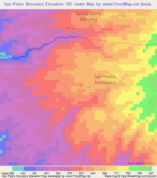 San Pedro Nonualco,El Salvador Elevation Map