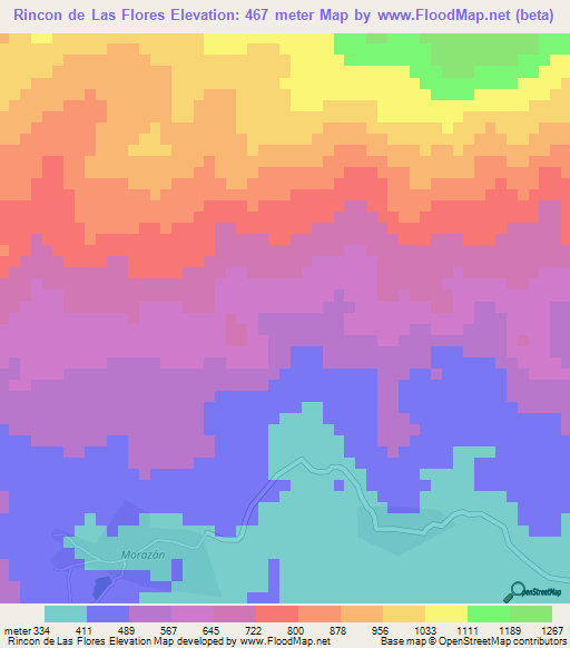 Rincon de Las Flores,Guatemala Elevation Map