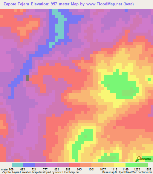 Zapote Tejera,Honduras Elevation Map