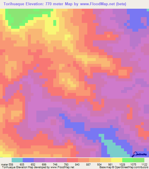 Torihuaque,Honduras Elevation Map