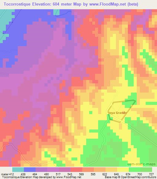 Tocorrostique,Honduras Elevation Map