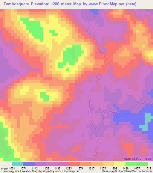 Tambosguare,Honduras Elevation Map