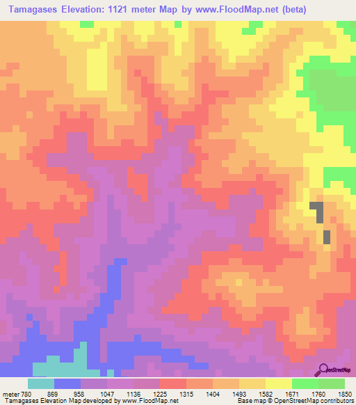 Tamagases,Honduras Elevation Map