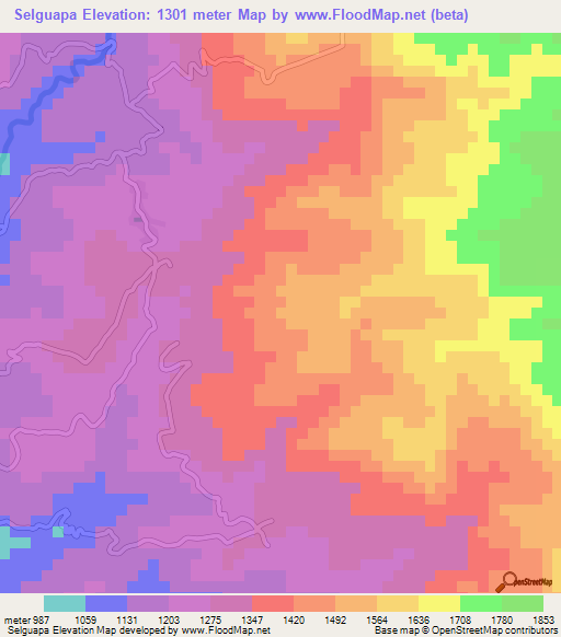 Selguapa,Honduras Elevation Map