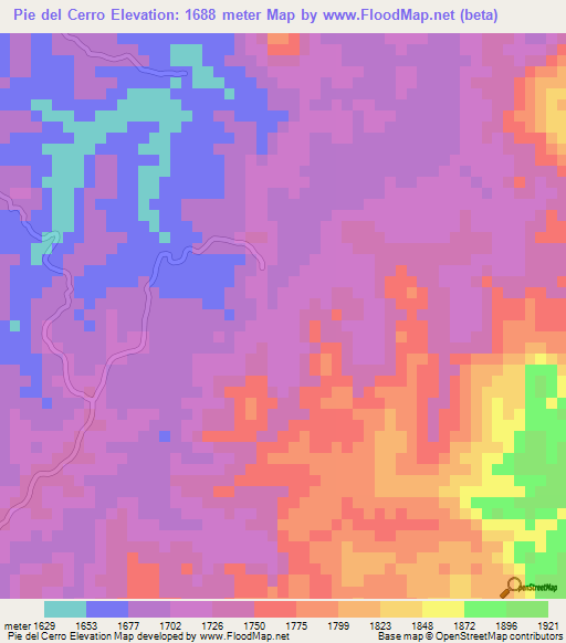 Pie del Cerro,Honduras Elevation Map