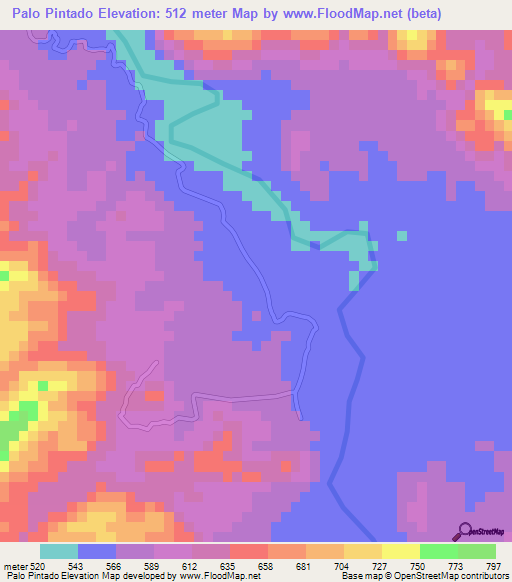 Palo Pintado,Honduras Elevation Map