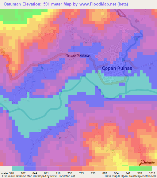 Ostuman,Honduras Elevation Map