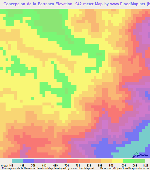 Concepcion de la Barranca,Honduras Elevation Map