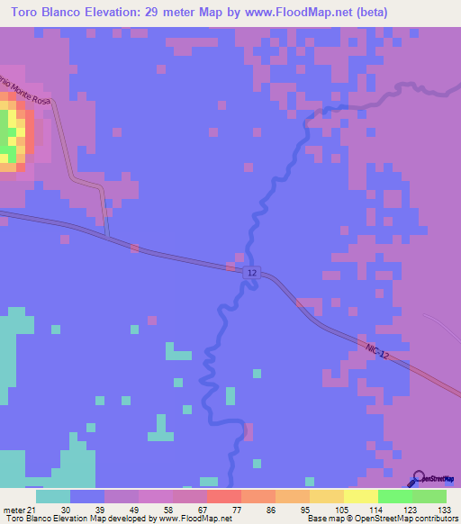 Toro Blanco,Nicaragua Elevation Map