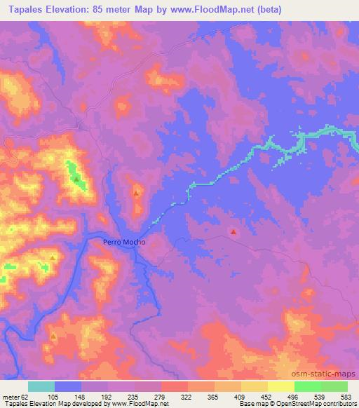 Tapales,Nicaragua Elevation Map
