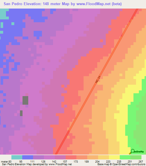San Pedro,Nicaragua Elevation Map