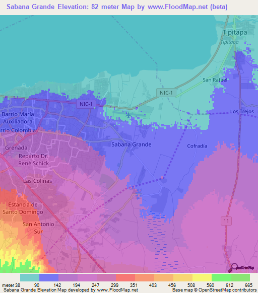 Sabana Grande,Nicaragua Elevation Map