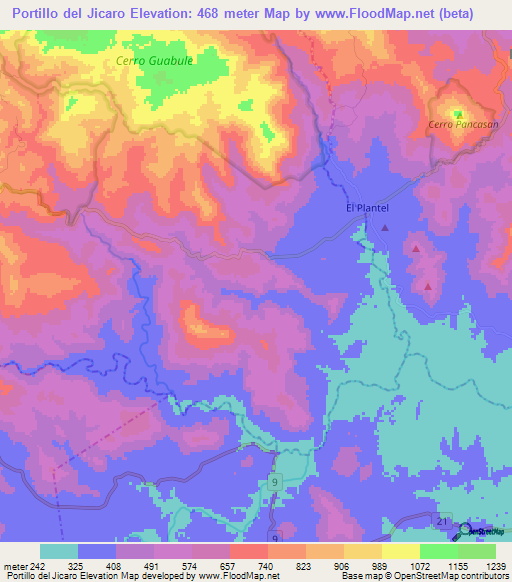 Portillo del Jicaro,Nicaragua Elevation Map