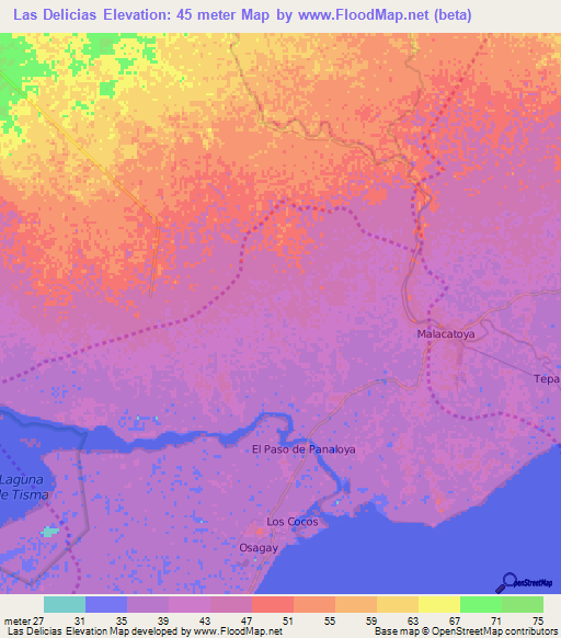 Las Delicias,Nicaragua Elevation Map