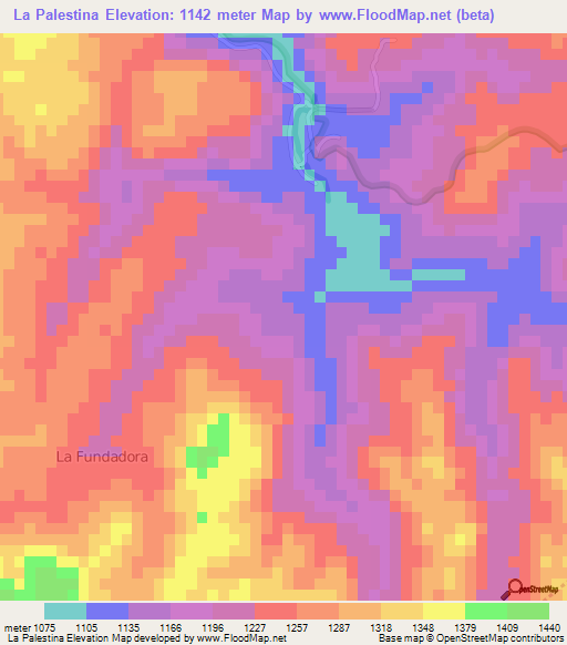La Palestina,Nicaragua Elevation Map