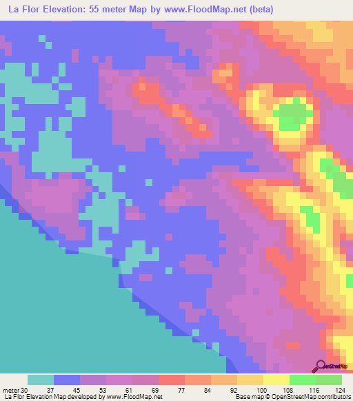 La Flor,Nicaragua Elevation Map