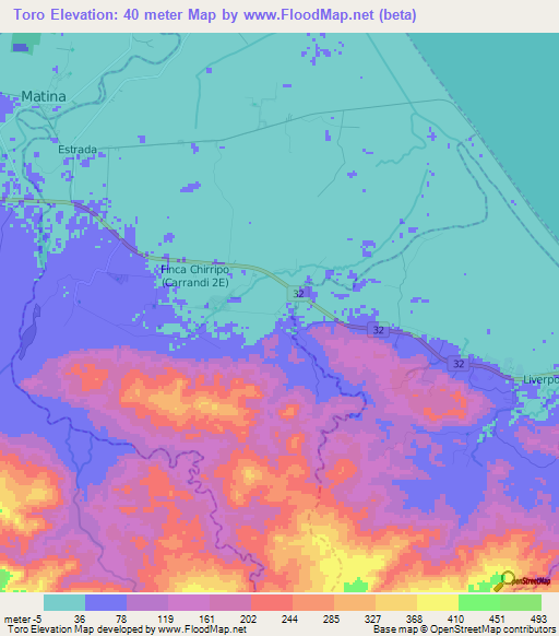 Toro,Costa Rica Elevation Map