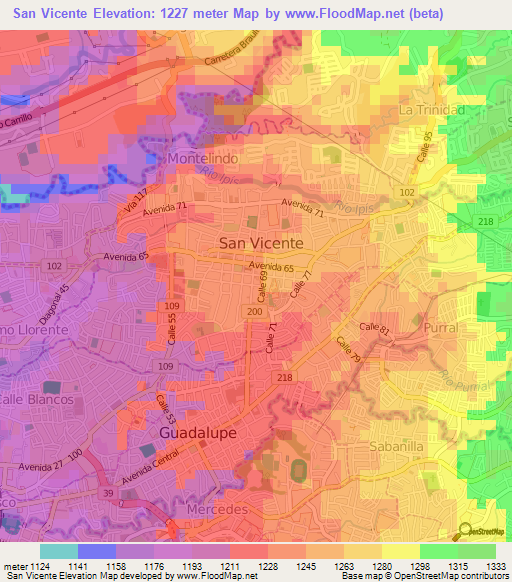San Vicente,Costa Rica Elevation Map