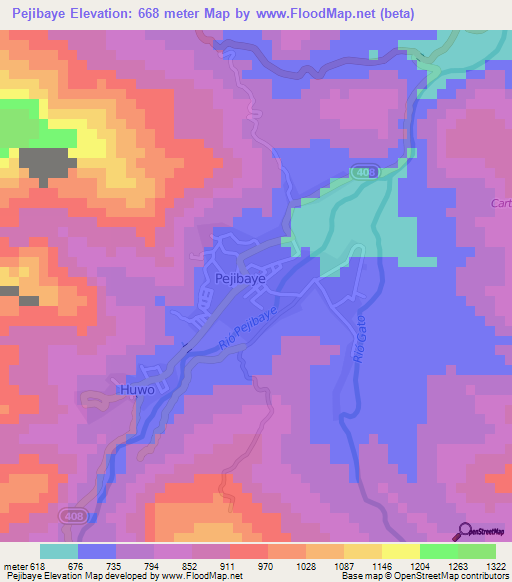 Pejibaye,Costa Rica Elevation Map