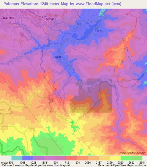 Palomas,Costa Rica Elevation Map