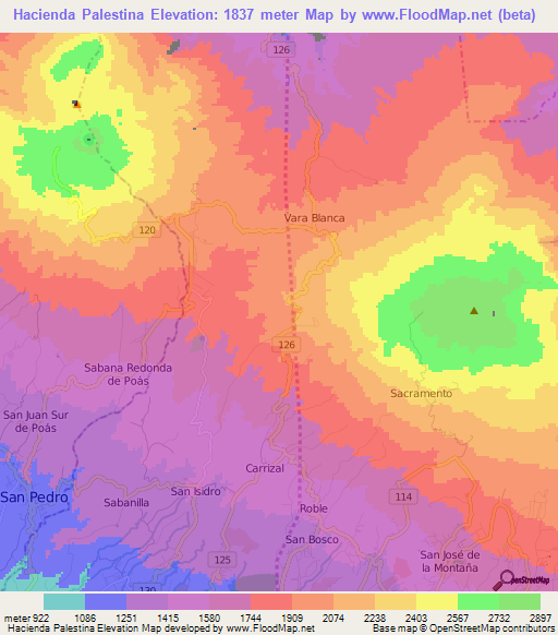 Hacienda Palestina,Costa Rica Elevation Map