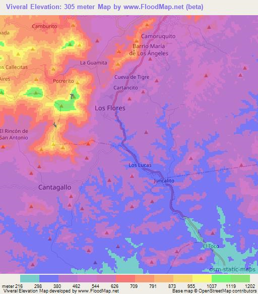 Viveral,Venezuela Elevation Map