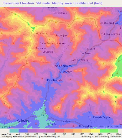 Toronguey,Venezuela Elevation Map