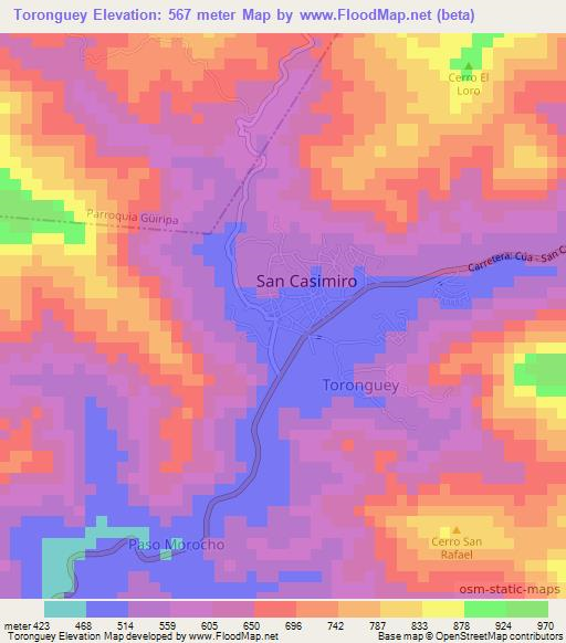 Toronguey,Venezuela Elevation Map