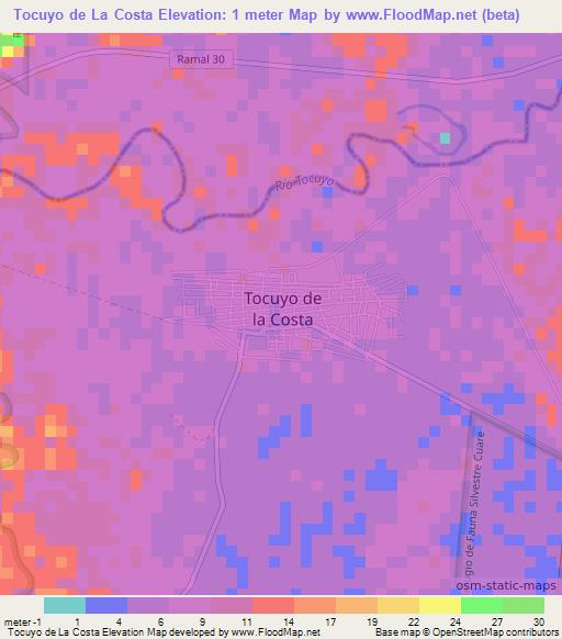 Tocuyo de La Costa,Venezuela Elevation Map