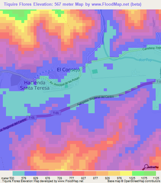 Tiquire Flores,Venezuela Elevation Map