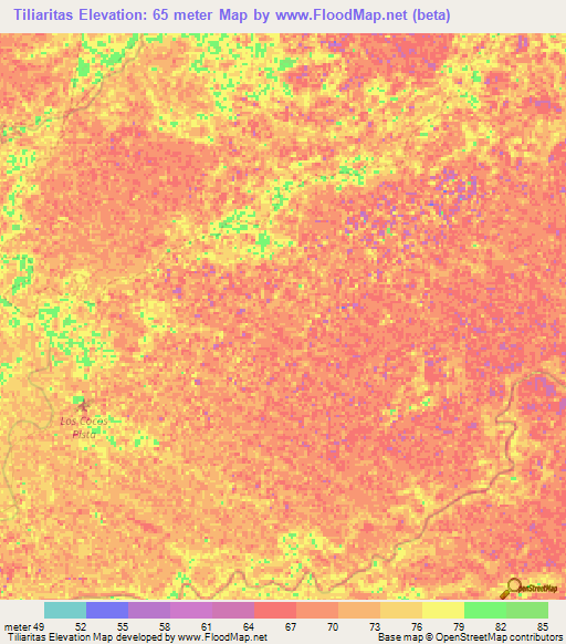 Tiliaritas,Venezuela Elevation Map