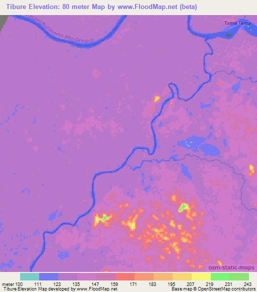 Tibure,Venezuela Elevation Map