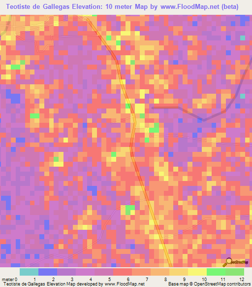 Teotiste de Gallegas,Venezuela Elevation Map