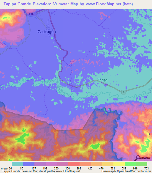 Tapipa Grande,Venezuela Elevation Map
