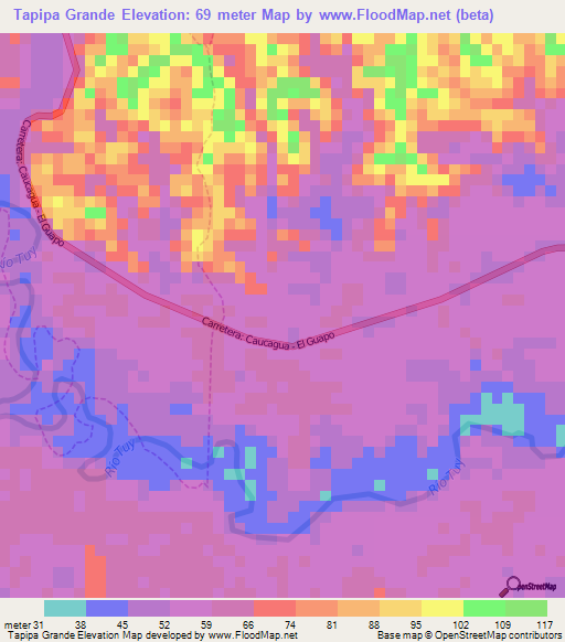 Tapipa Grande,Venezuela Elevation Map