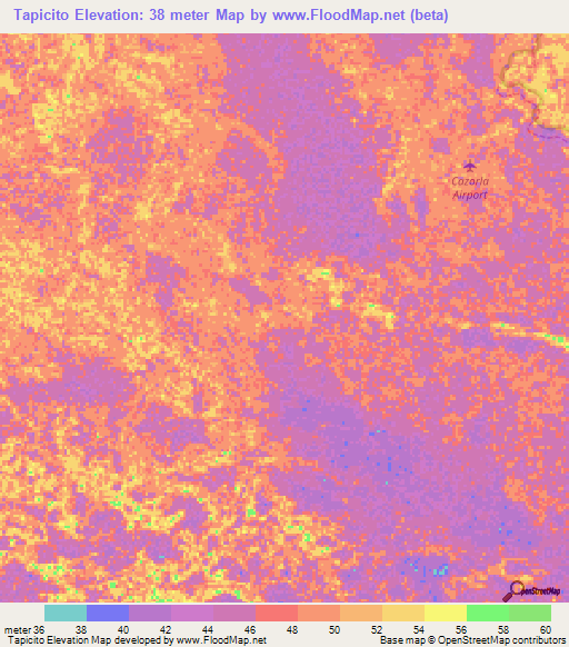 Tapicito,Venezuela Elevation Map