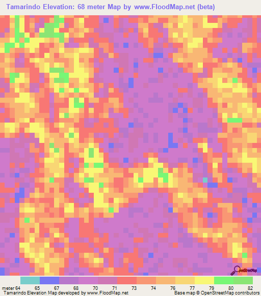 Tamarindo,Venezuela Elevation Map