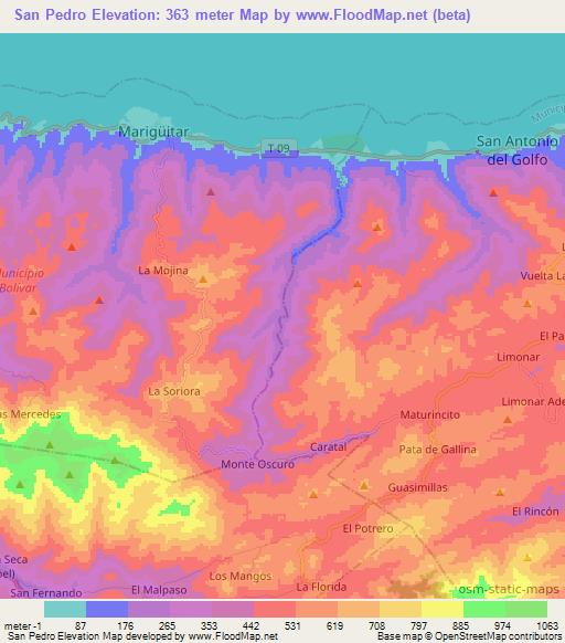 San Pedro,Venezuela Elevation Map