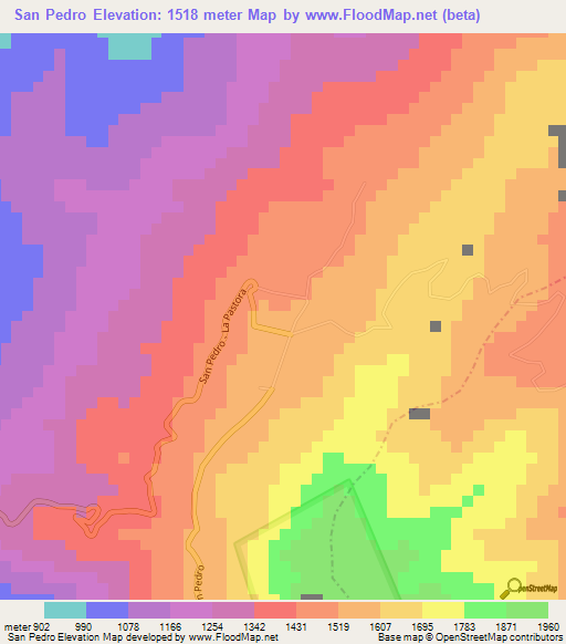 San Pedro,Venezuela Elevation Map