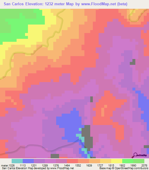 San Carlos,Venezuela Elevation Map